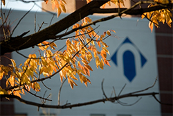 NCC logo with fall leaves